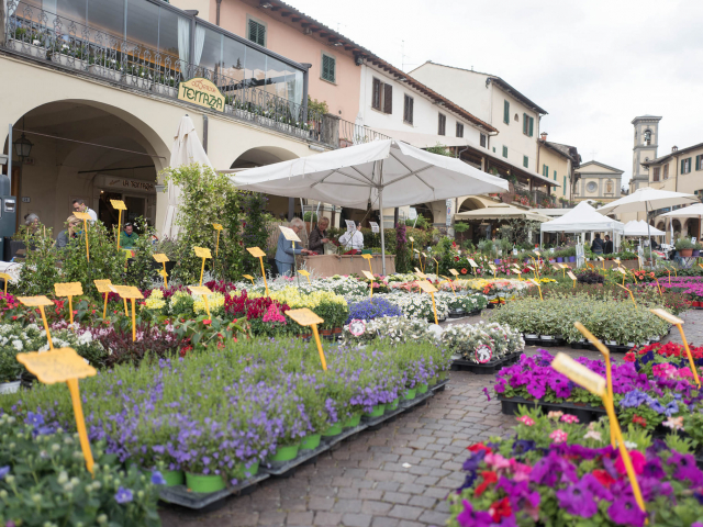 Mostra fiori Greve in Chianti