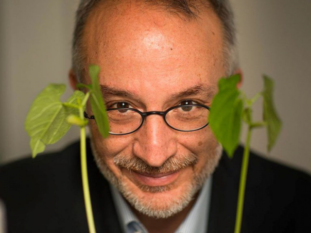 immagine Stefano Mancuso