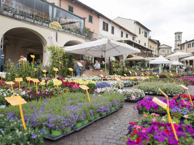 immagine Greve in Fiore