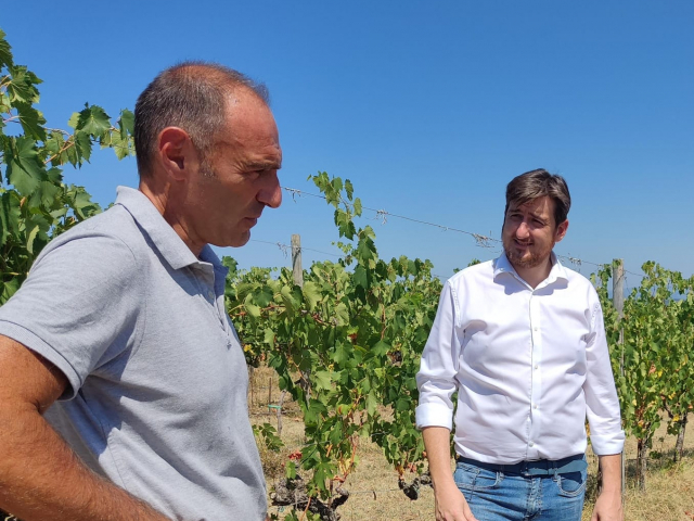 immagine agronomo Francesco Caselli + Roberto Ciappi presso azienda San casciano