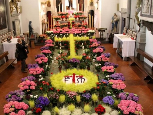 immagine vecce pasquali san casciano v.p.