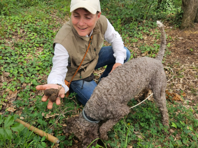 Caccia al tartufo tra i boschi di Barberino Tavarnelle