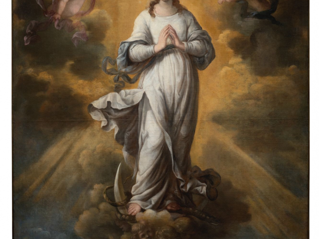 Iniziative dedicate all'opera dell'Immacolata Concezione 