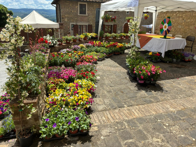 Barberino in fiore