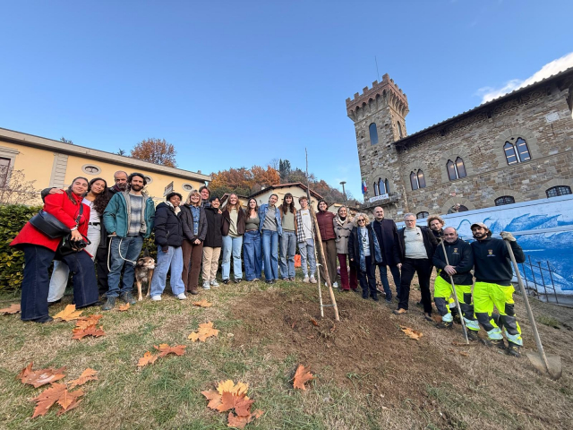 Piantumazione Noce a Greve in Chianti
